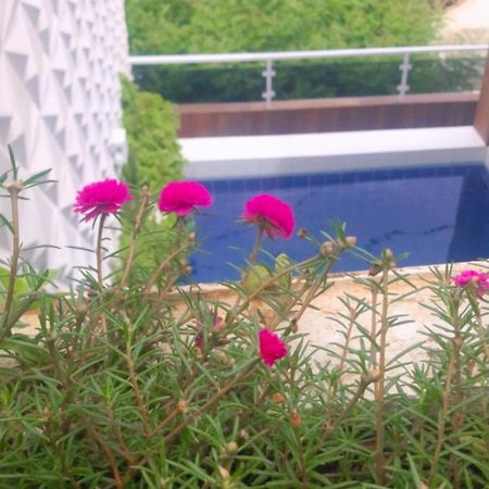 Pousada Berro Do Bode Hotel Cabaceiras Екстериор снимка